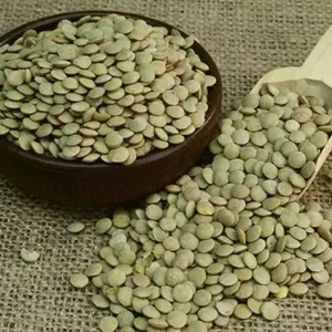 Yeşil Mercimek